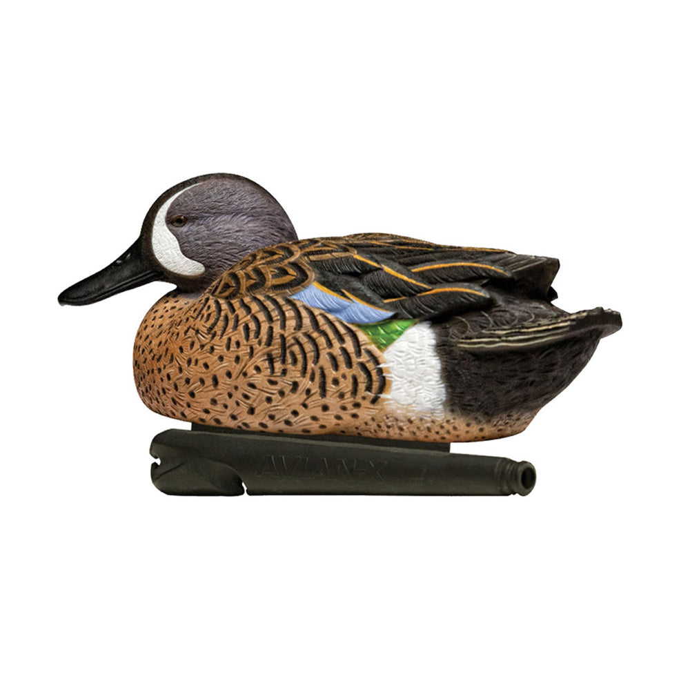Avian-X weight-forward decoys stay stable when tossed into water for quick setup