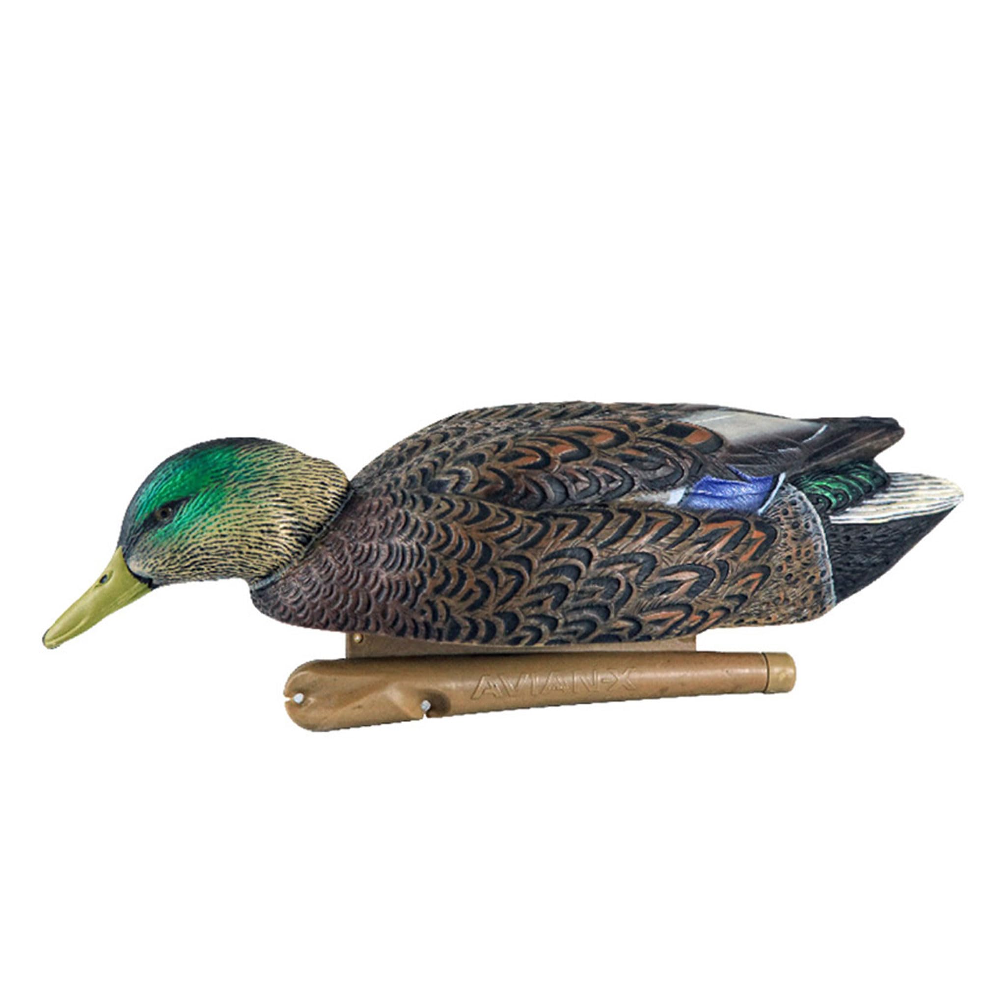 Avian-X durable construction withstands rugged field conditions.
