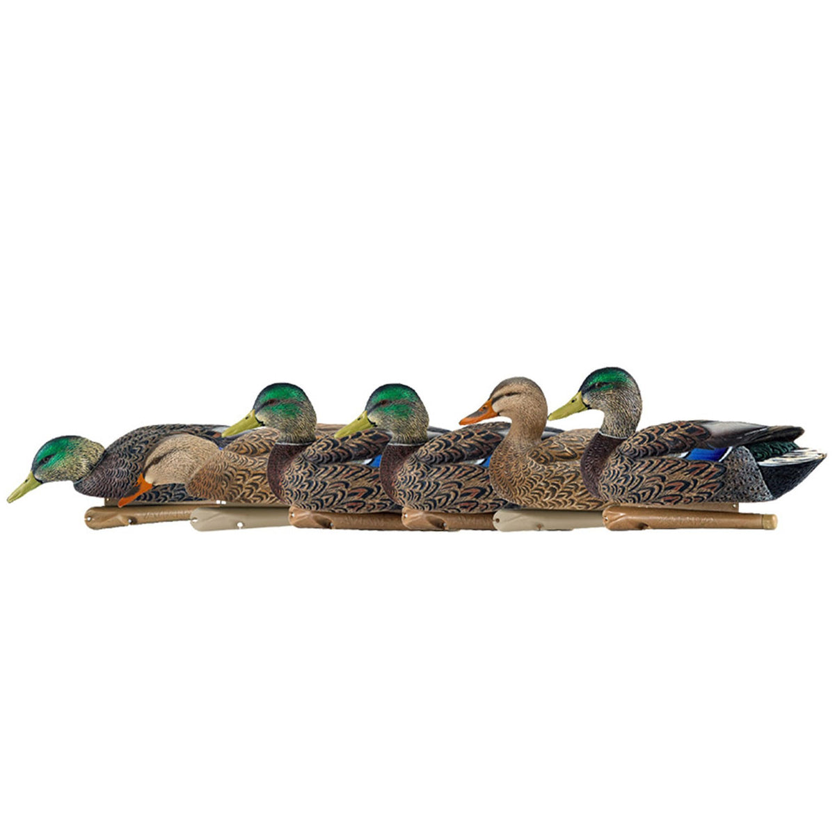 Avian-X Topflight early-season mallards 6-pack on water for realistic attraction.