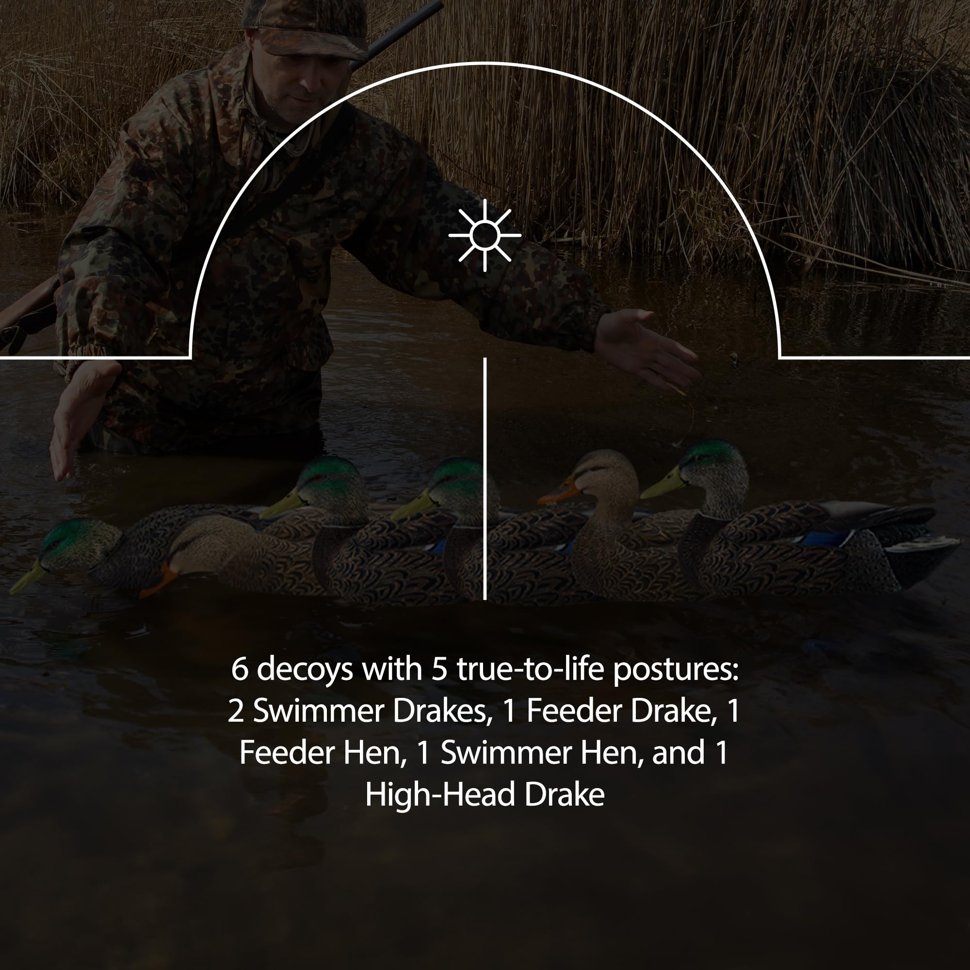 Avian-X feeder drake decoy enhances spread with feeding posture.