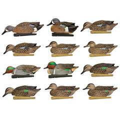 Avian-X TopFlight Floating Teal Combo 12 Pack decoy for open-water hunting.
