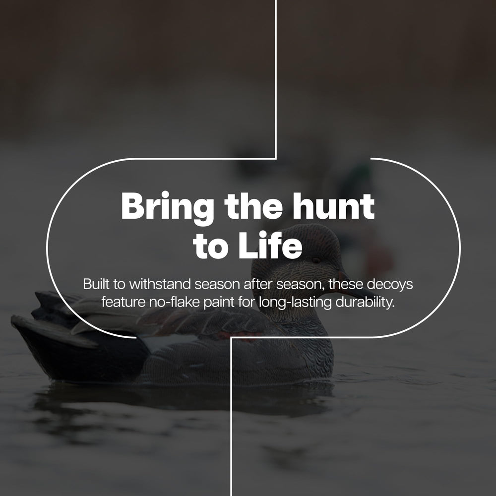 Avian-X Gadwall low-head drake decoy adds versatile postures for lifelike cues.