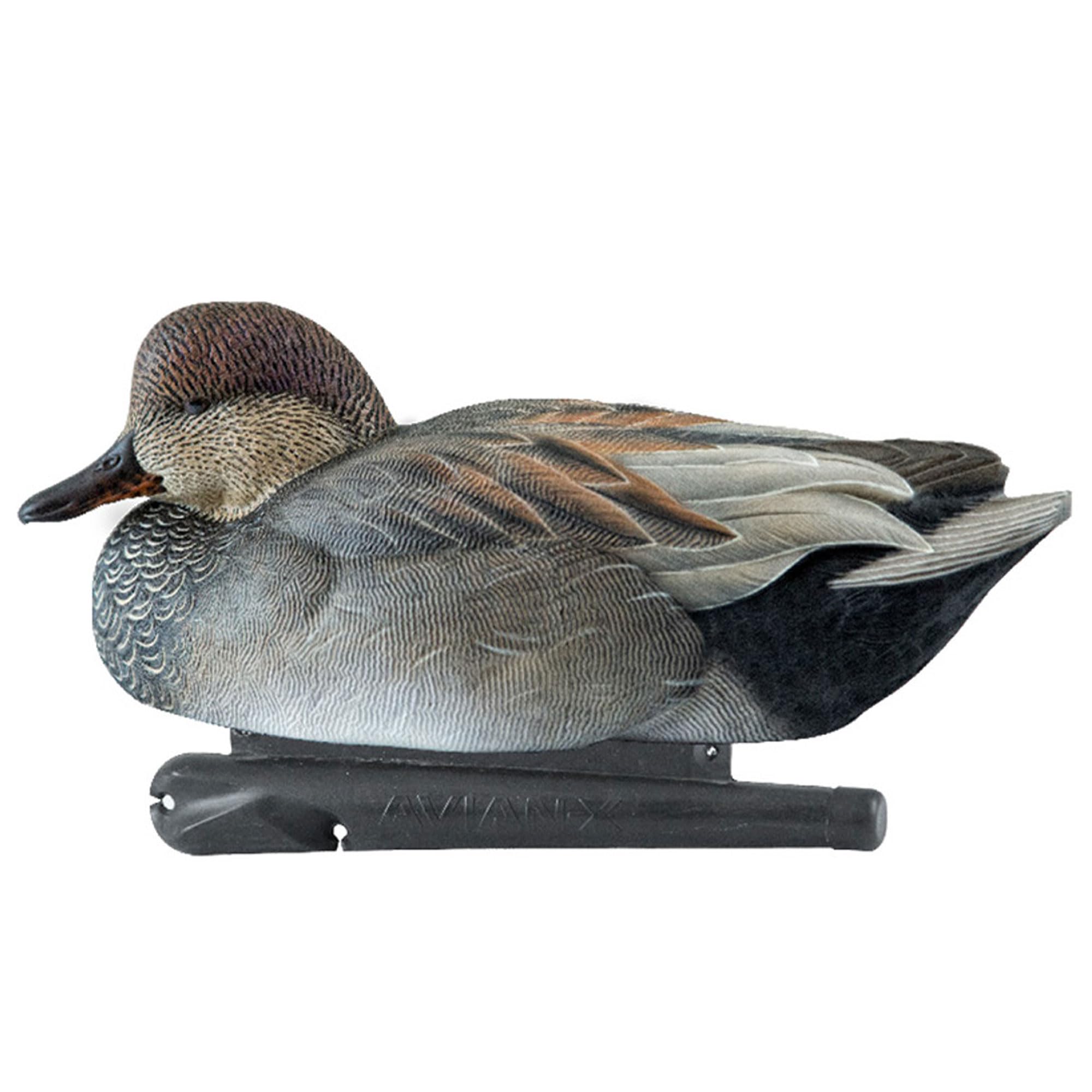 Avian-X Gadwall spread in habitat helps attract wary gray ducks.