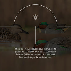 Avian X decoys boast durable construction for season-long reliability