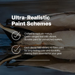 Avian X Topflight teal decoys ideal for ponds and marshes blending with environment