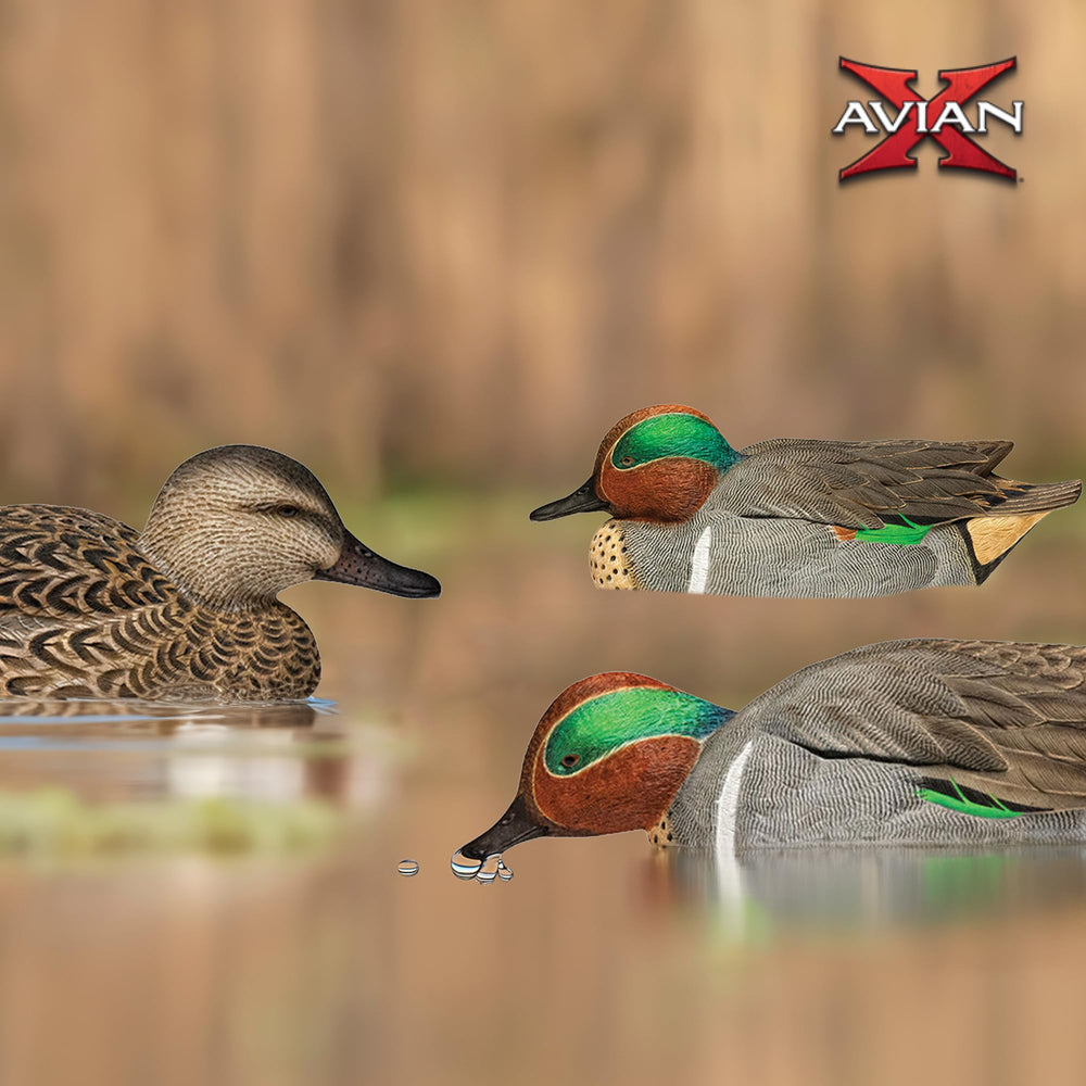 Avian X low-head drakes enhance silhouette variety for better attraction