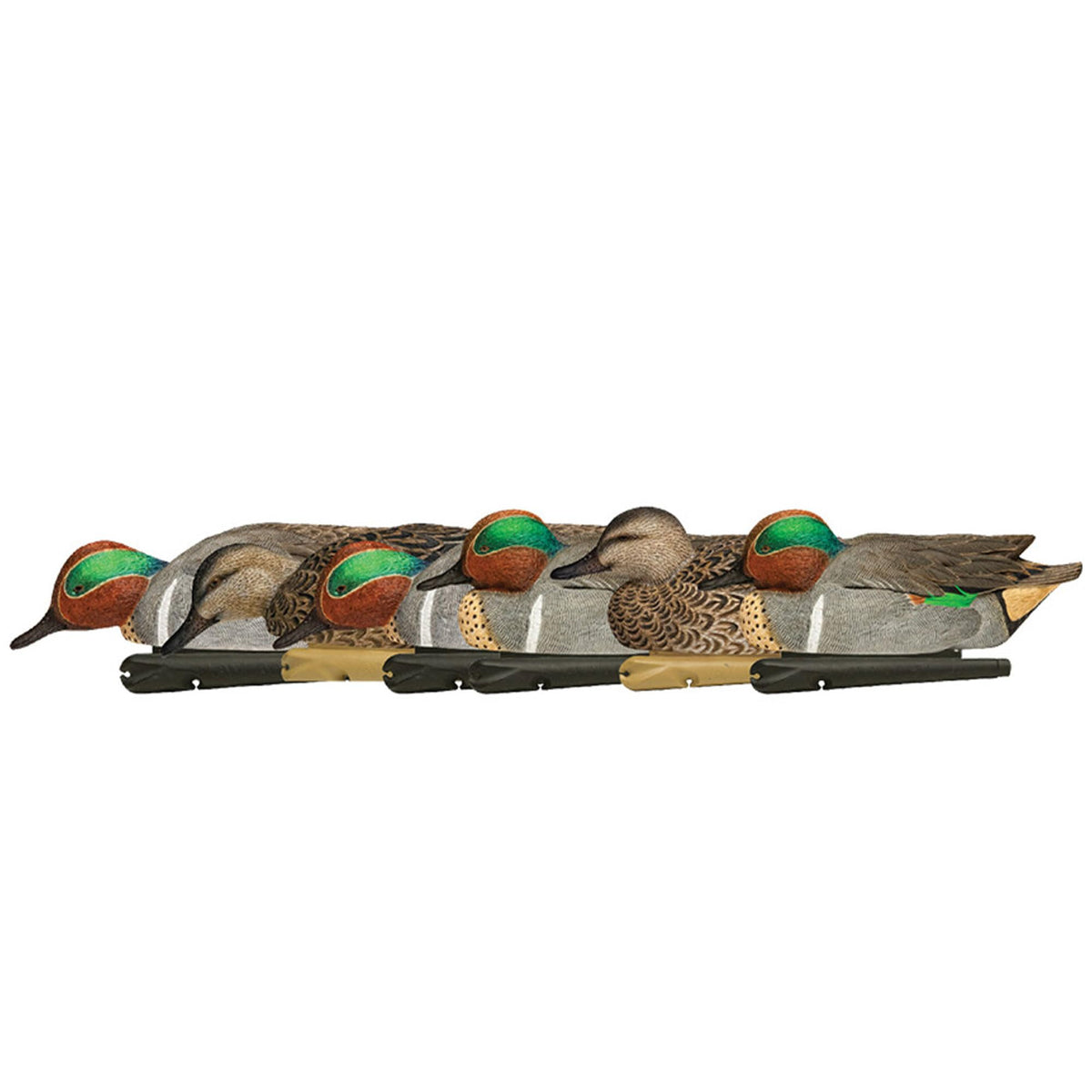 Avian X Topflight Green-Winged Teal Decoys with realistic plumage attract wary ducks