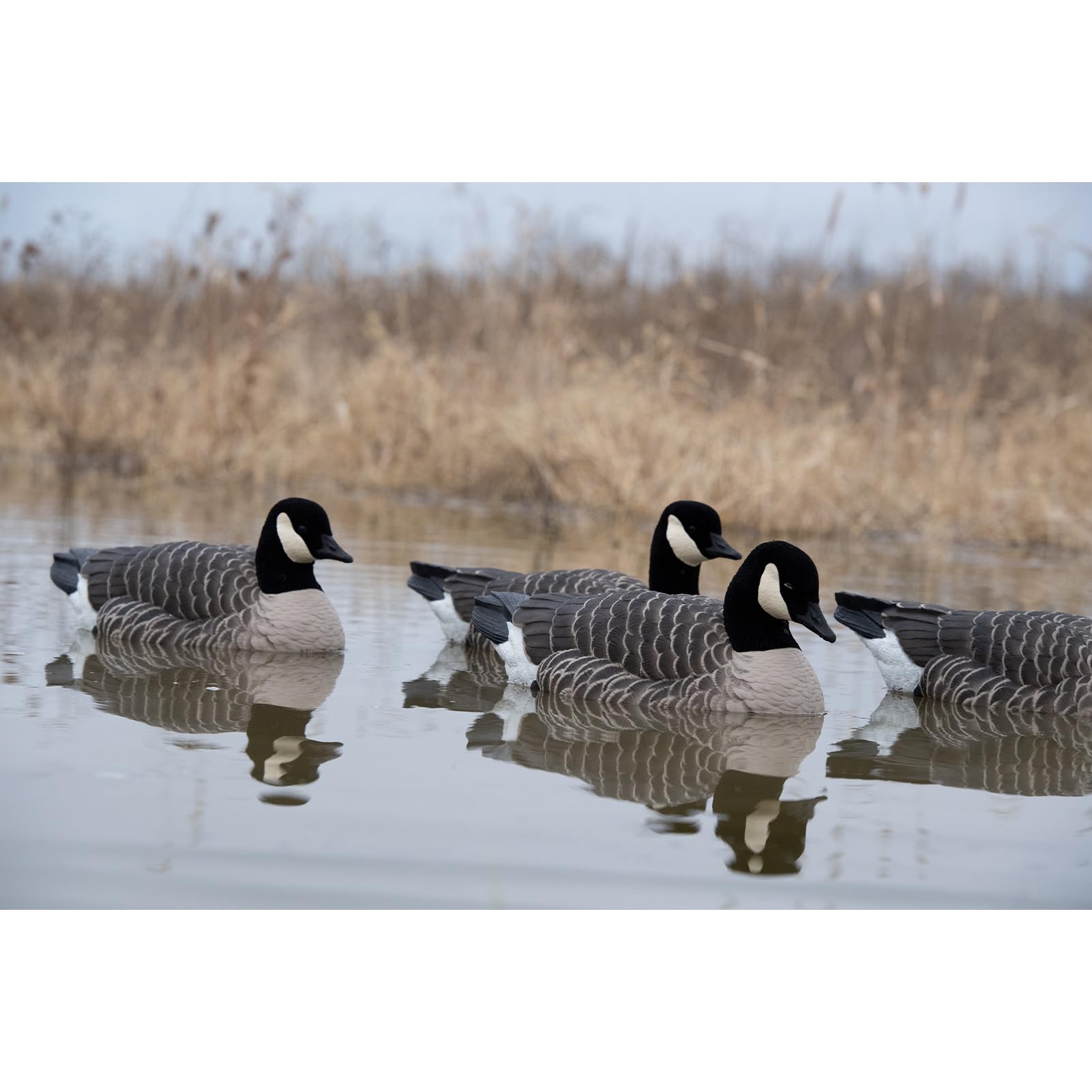 Avian-X Topflight Lesser Flocked-Head Variation decoy offers multiple angles for realism.