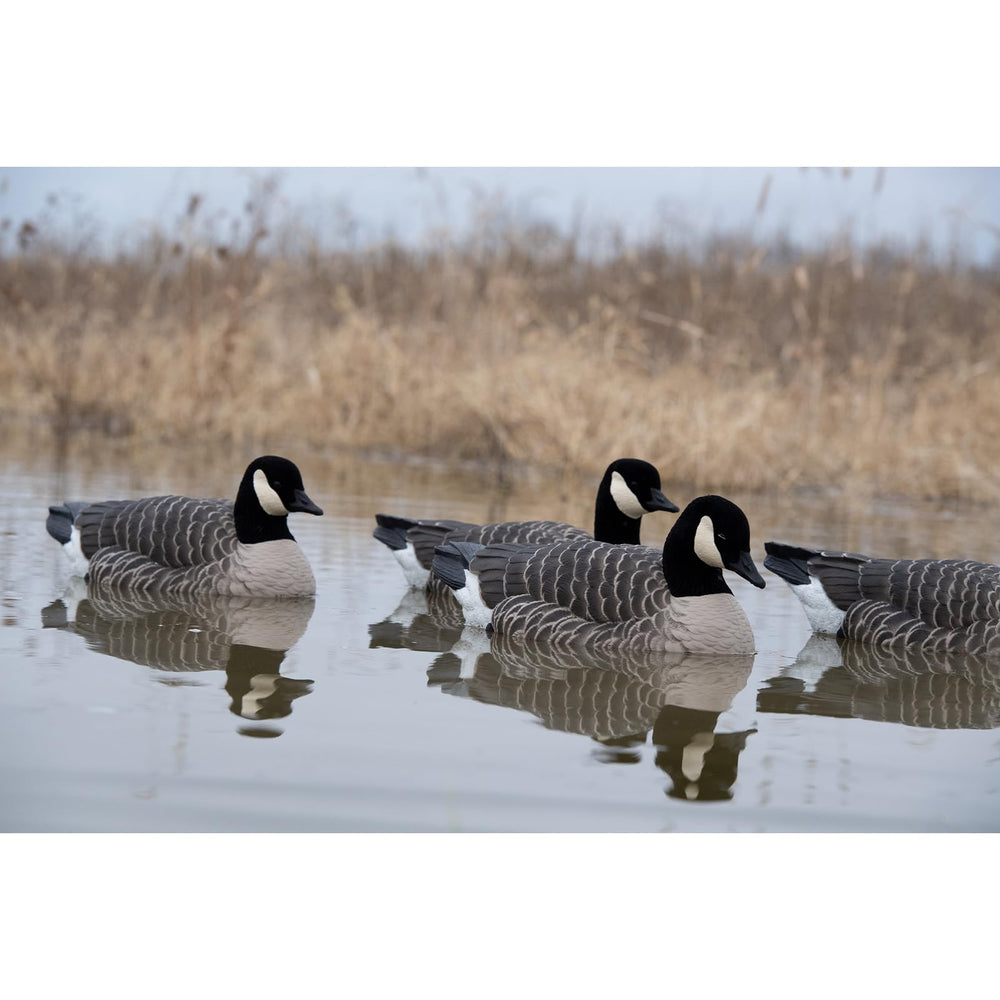 Avian-X Topflight Lesser Flocked-Head Variation decoy offers multiple angles for realism.
