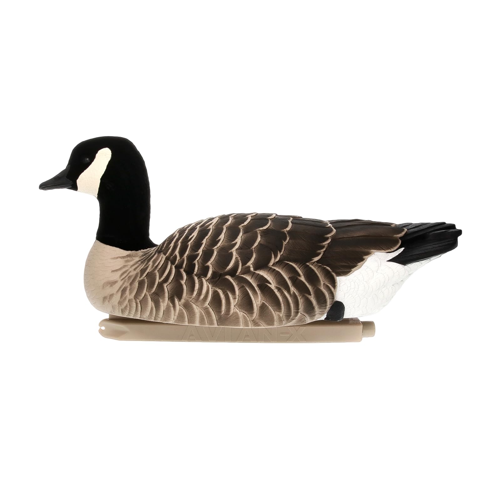 Avian-X Topflight Lesser Sentry decoy with alert posture to entice geese.