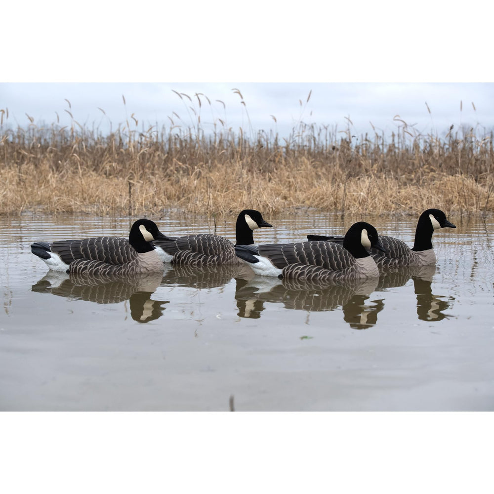 Avian-X Topflight Lesser Waterline decoy enhances visibility on the water.