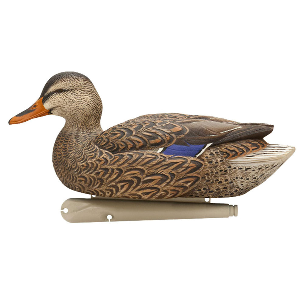 Avian-X Topflight life-size floater body provides proportional mallard silhouettes.