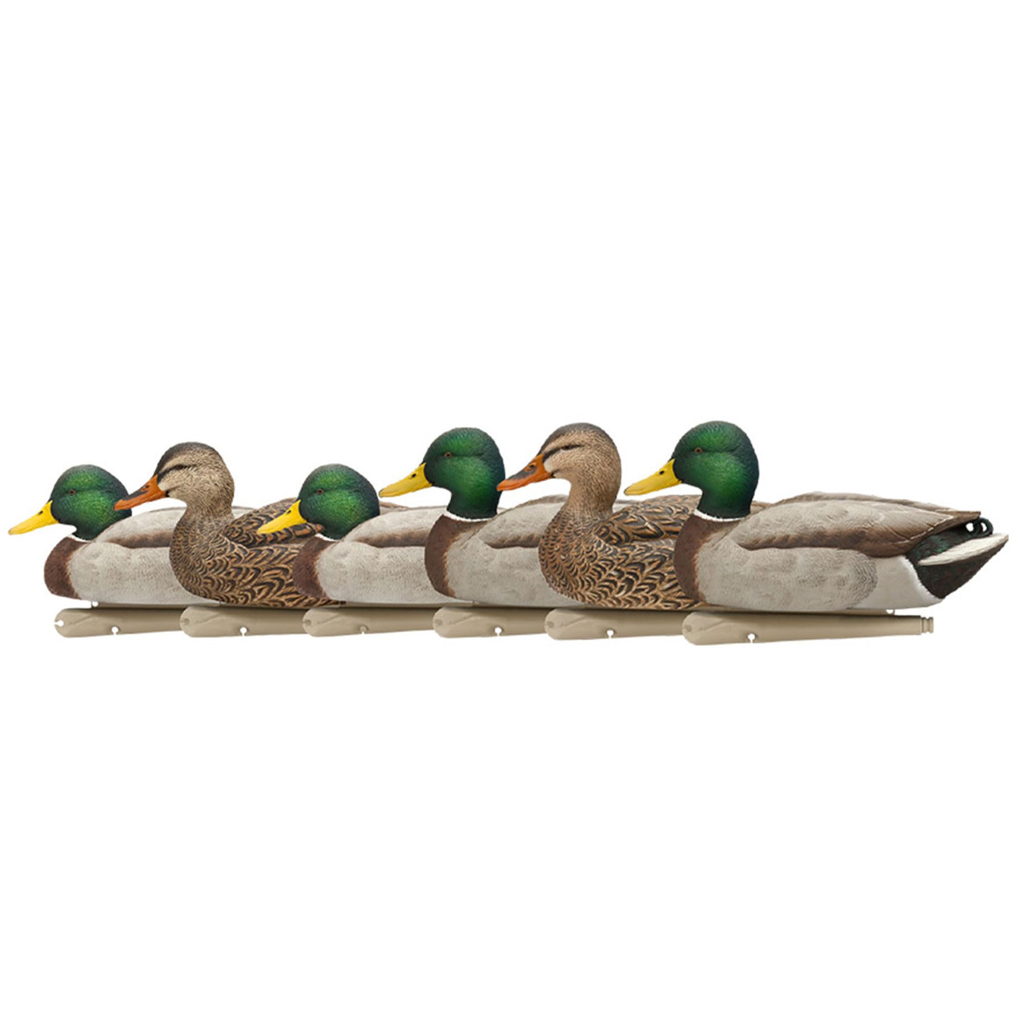 Avian-X Topflight open-water mallard decoys set of six in multicolor for realistic waterfowl scenes.