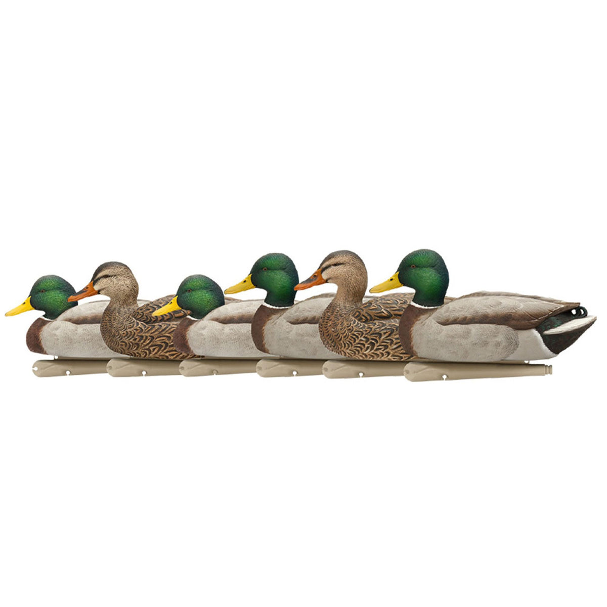 Avian-X Topflight open-water mallard decoys set of six in multicolor for realistic waterfowl scenes.