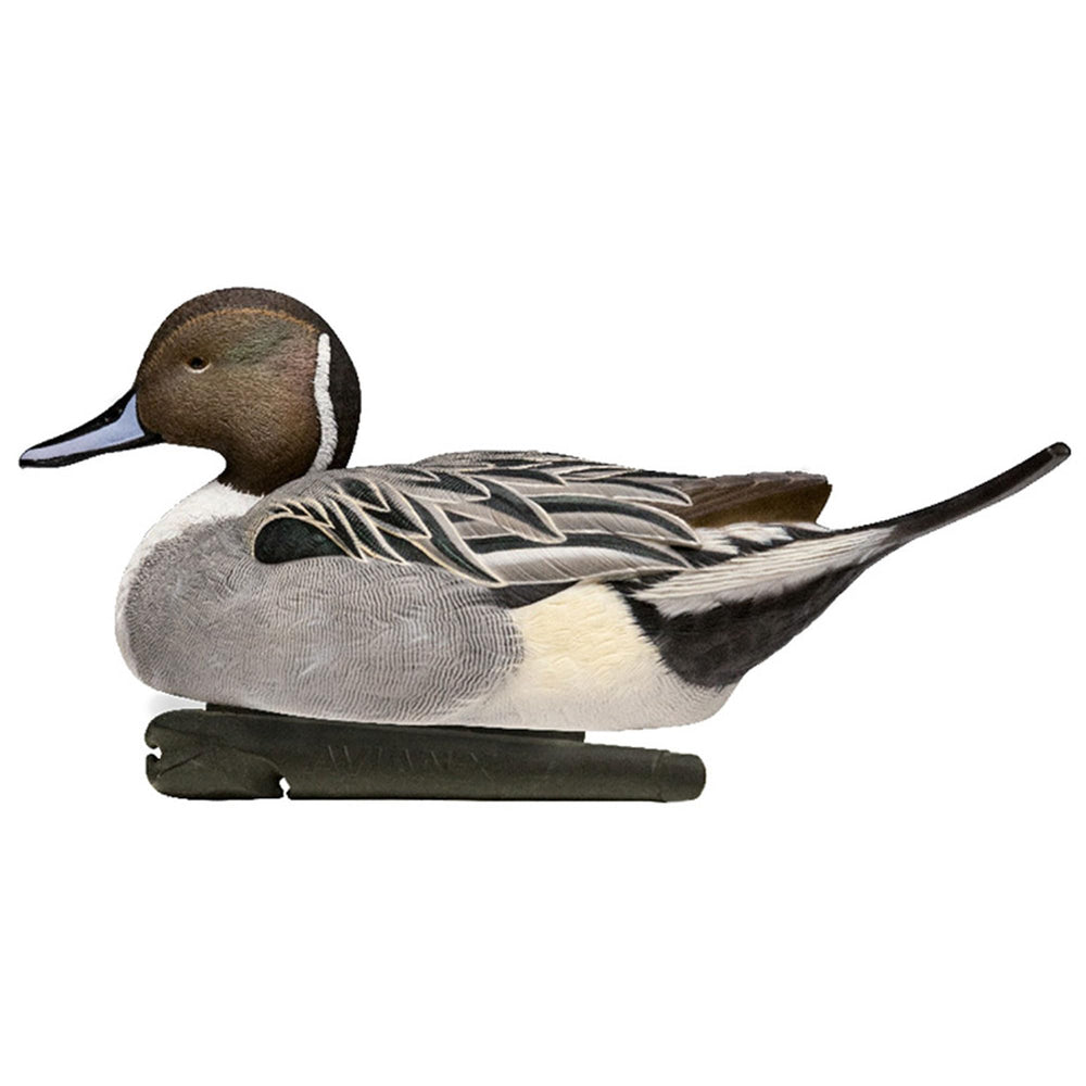 No-flake painted Pintail preserves color through rough water.