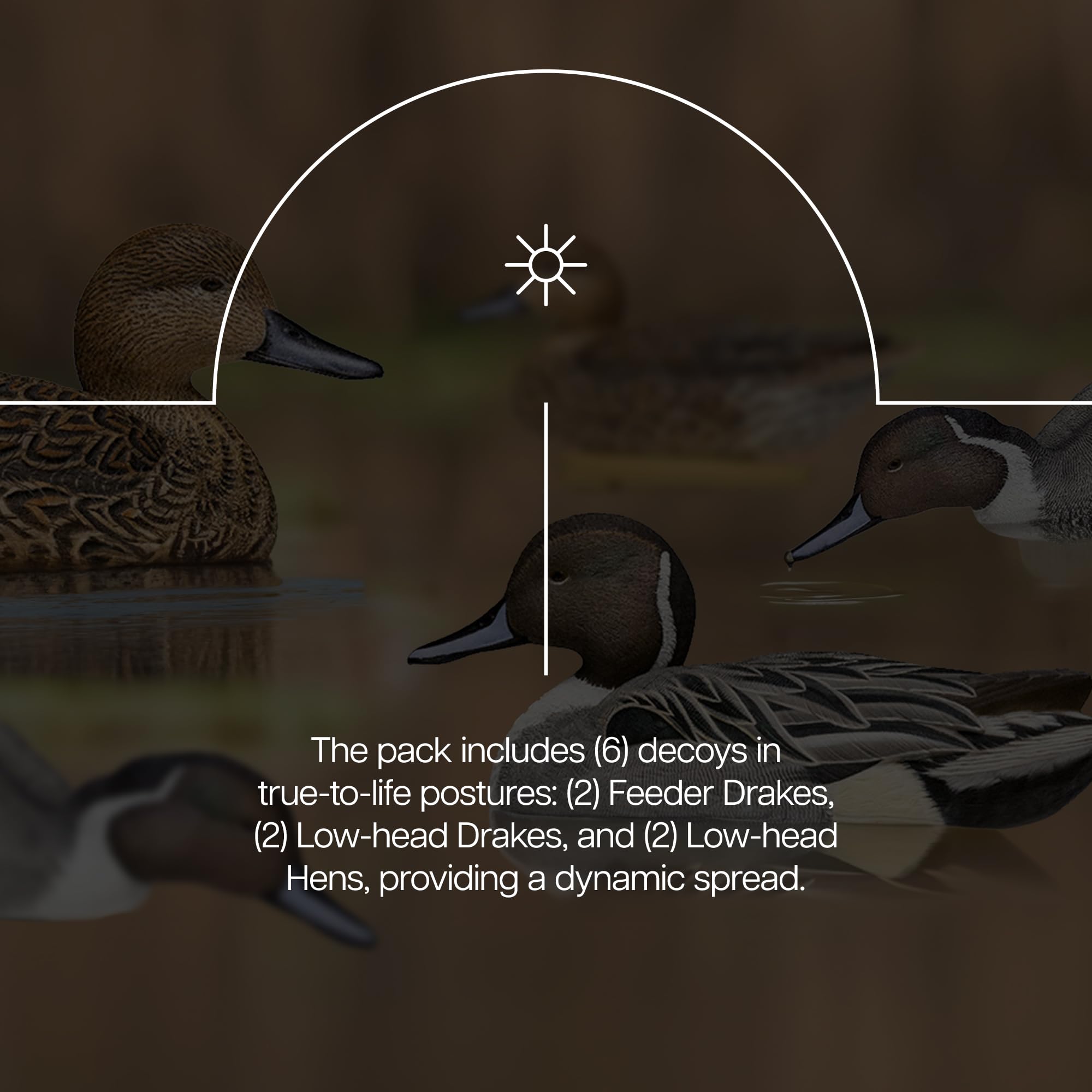 Avian-X Topflight Pintail set in-water display for versatile pond setups.