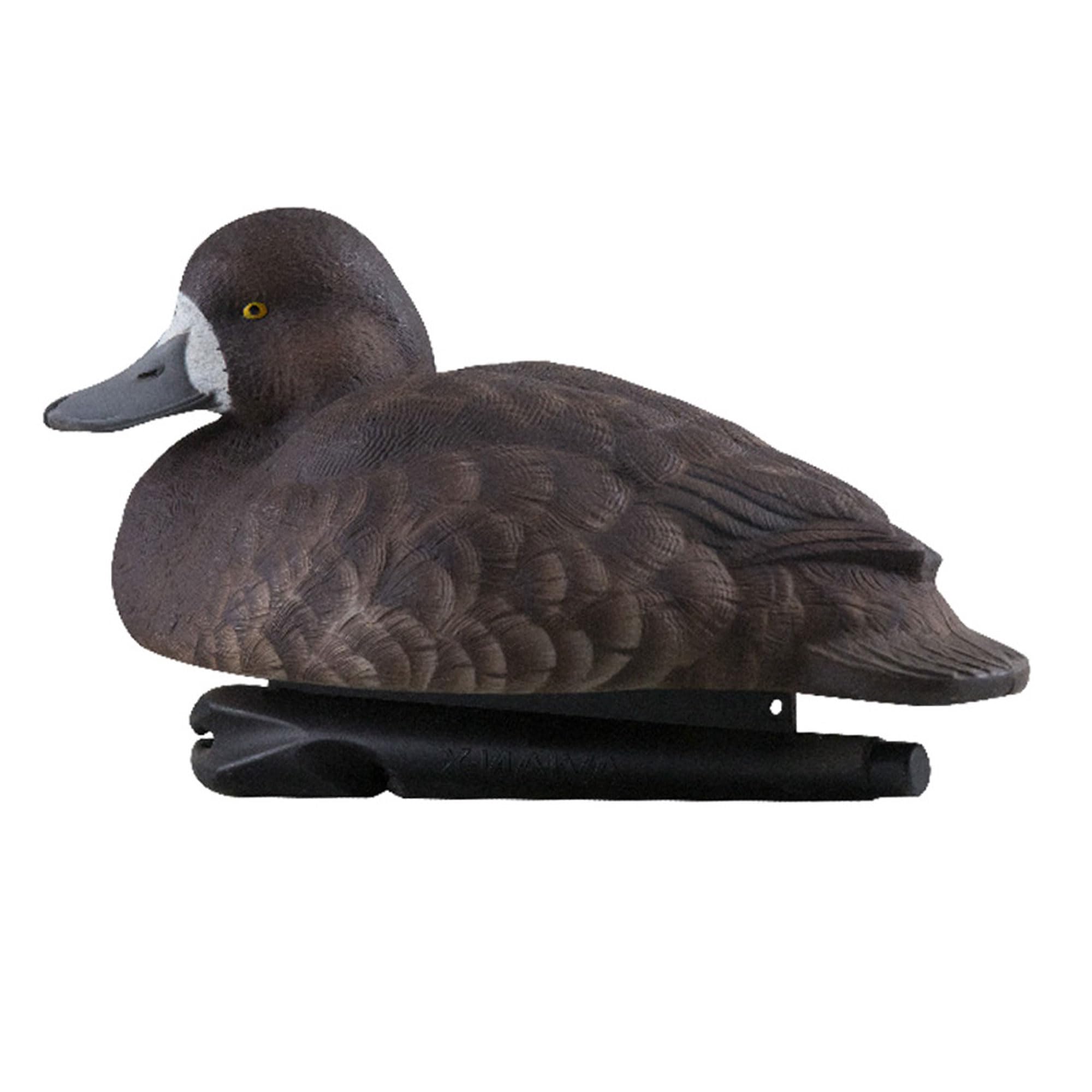 Six-pack blue bills from Avian-X for versatile spread configurations.
