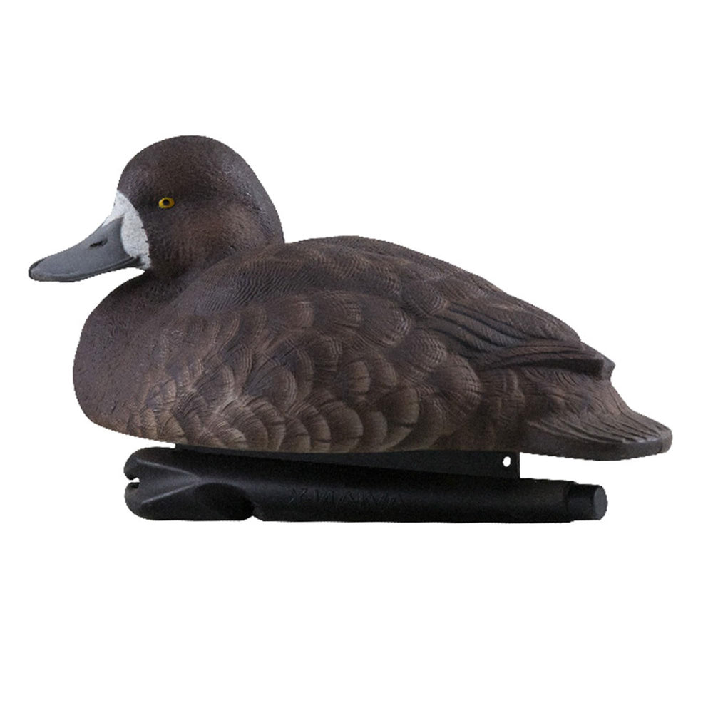 Six-pack blue bills from Avian-X for versatile spread configurations.