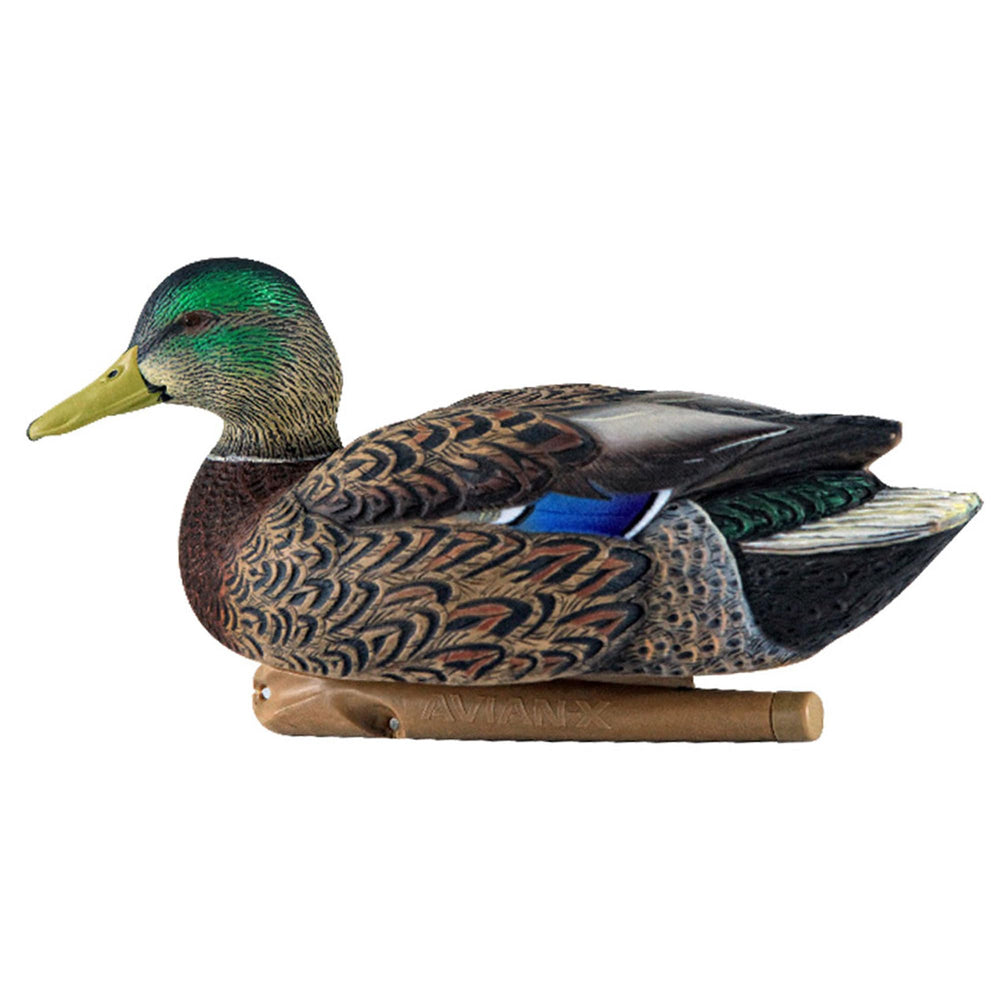 Avian-X swim-keel motion on water creates natural decoy movement for lifelike spreads.