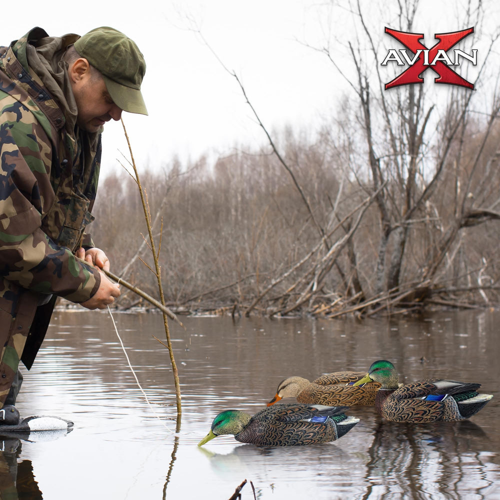 Avian-X swimmer hen decoy adds balance to the spread.