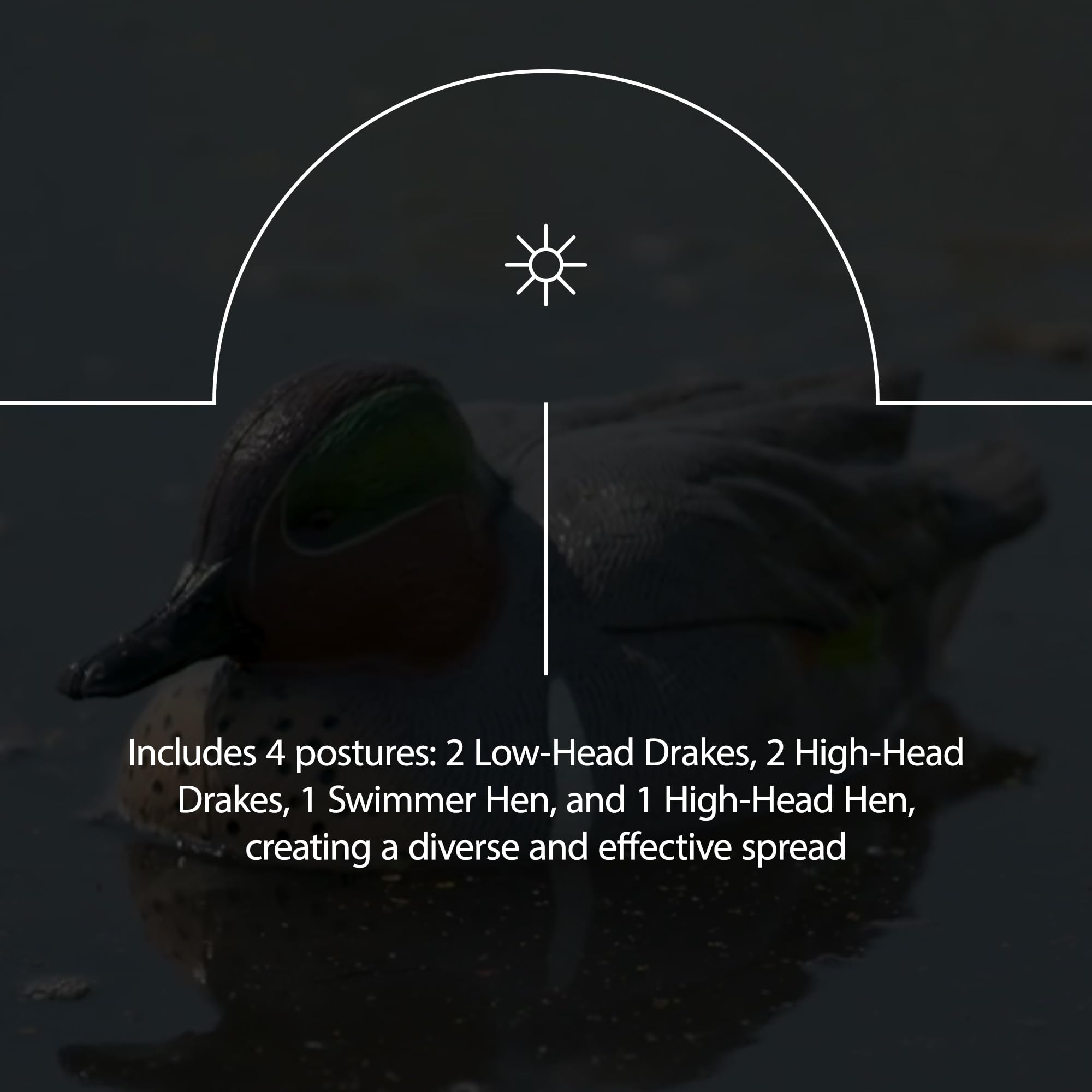Avian-X Topflight two low-head drakes add varied postures to the spread.