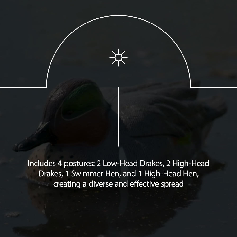 Avian-X Topflight two low-head drakes add varied postures to the spread.
