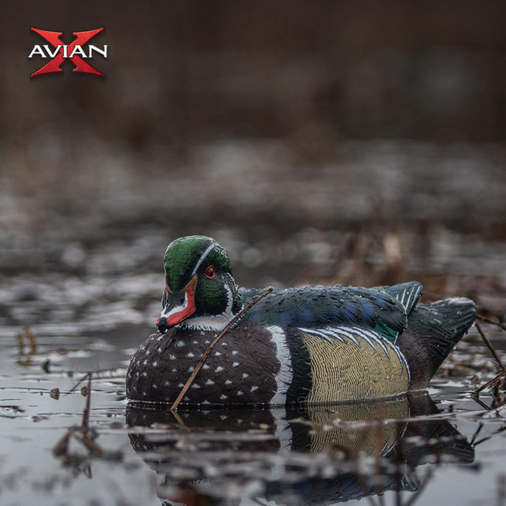 Avian-X Topflight wood duck decoy close-up shows rubberized molding
