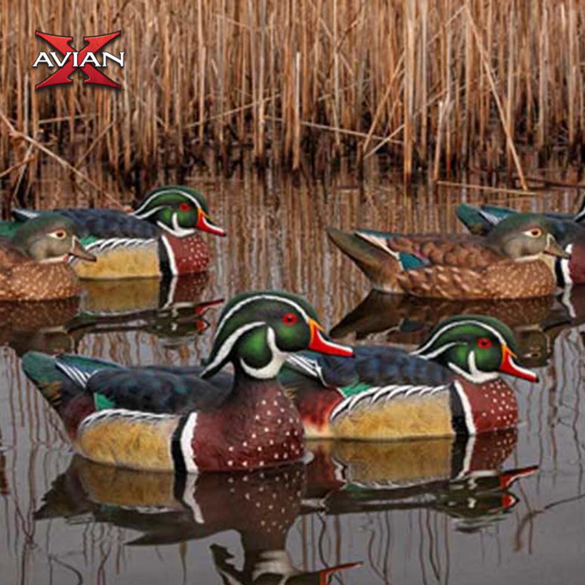 Avian-X Topflight low-head drake decoy pair enhances spread realism