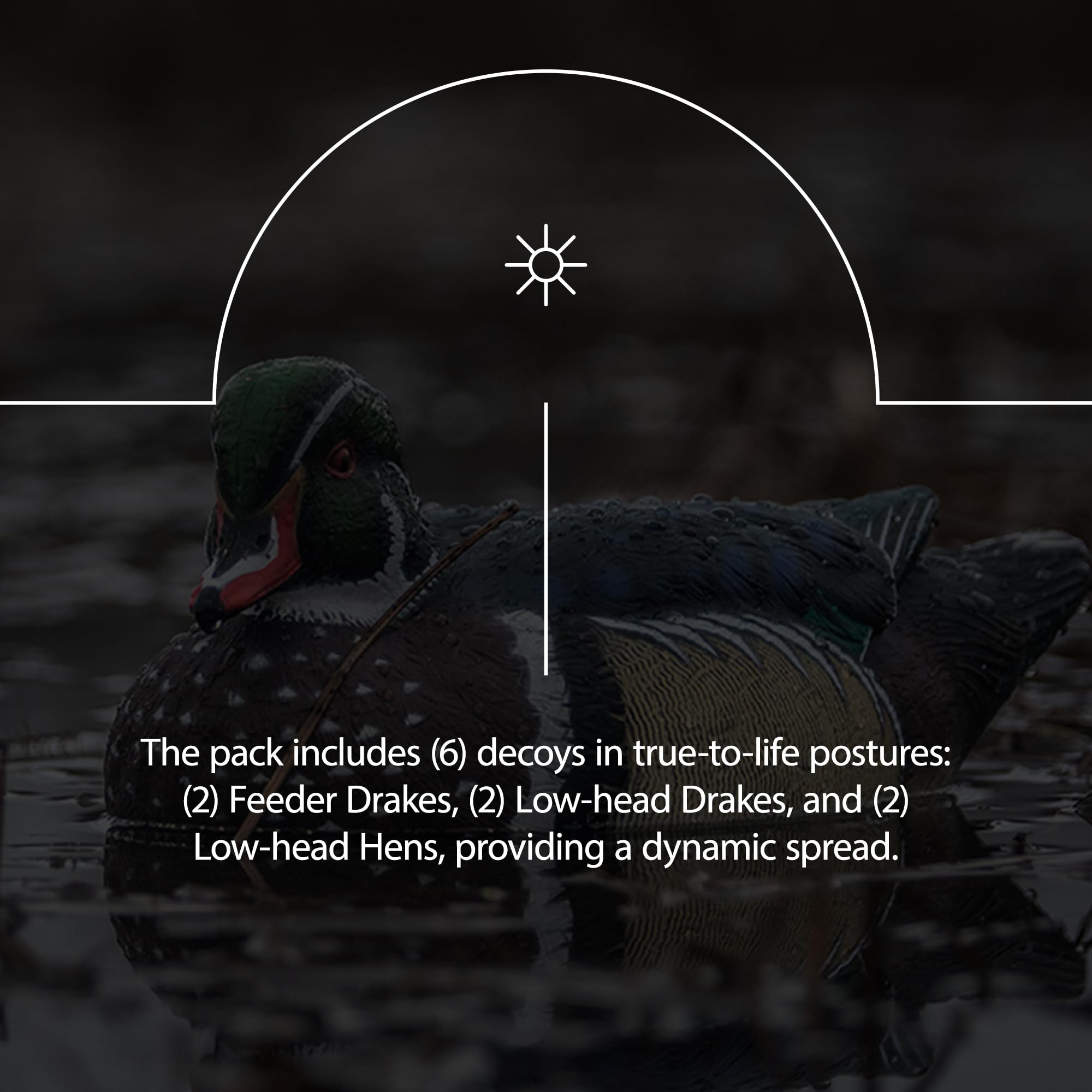 Avian-X Topflight low-head hen decoy close-up highlights durable finish