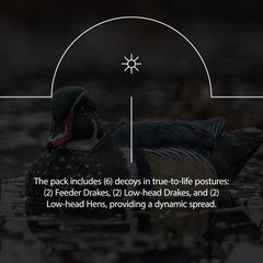 Avian-X Topflight low-head hen decoy close-up highlights durable finish