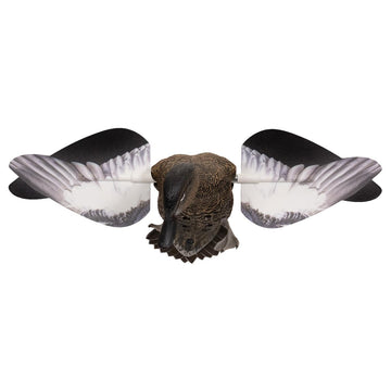Avian-X Powerflight hen shows 360° wing spin at lifelike speed.