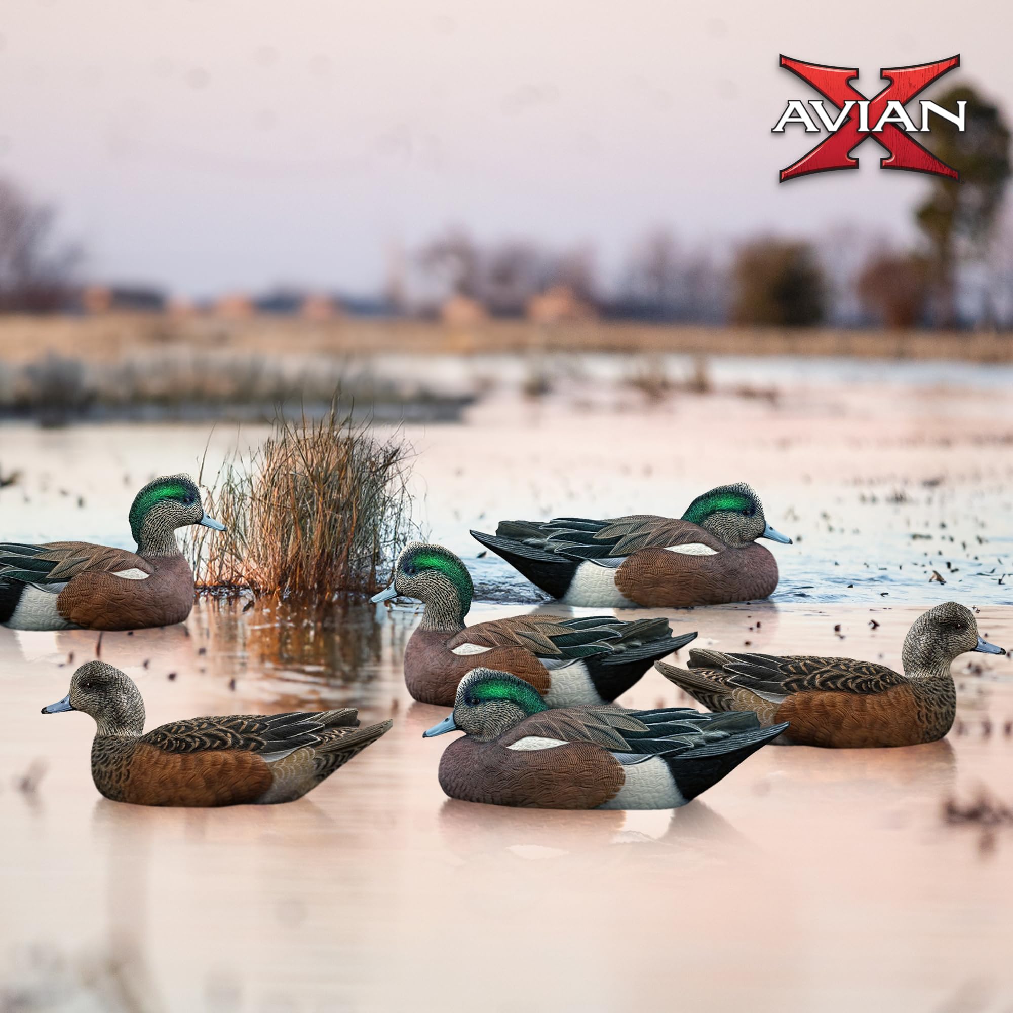 Avian-X Topflight Wigeon decoys feature no-flake paint for lasting color