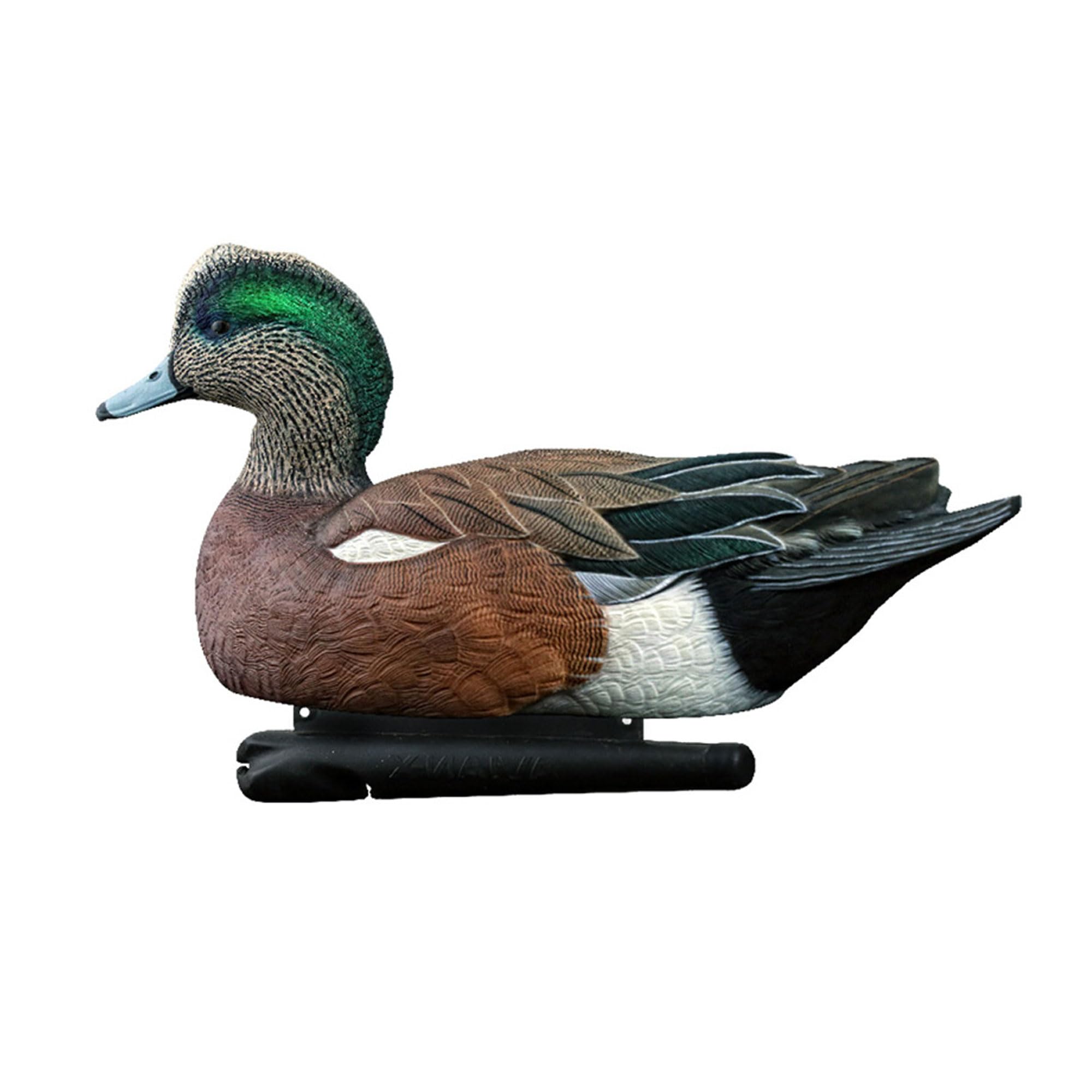 Avian-X Topflight Wigeon decoys are easy to place and settle naturally