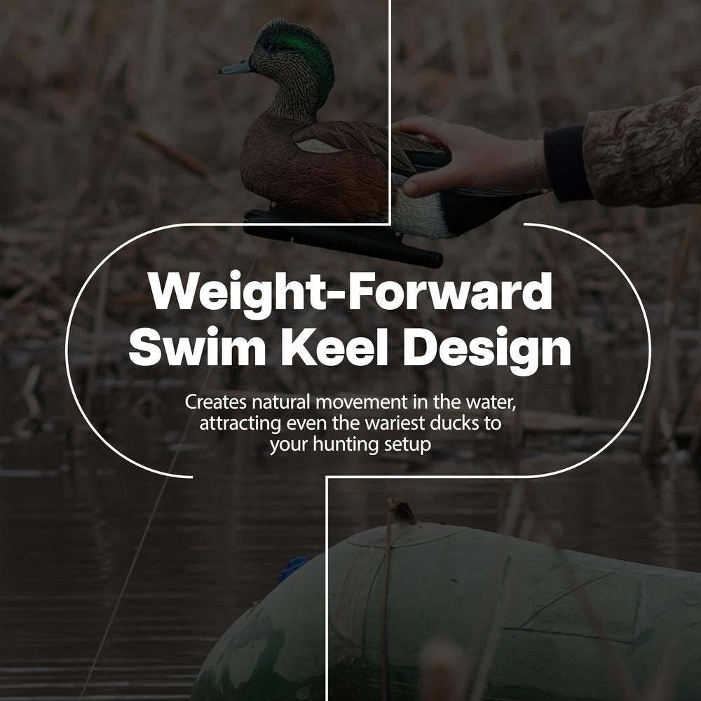 Avian-X Topflight Wigeon decoys with weight-forward keel drifting naturally in ponds for movement