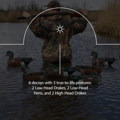 Avian-X Topflight Wigeon decoys in vibrant multicolor aid visibility across open water