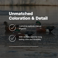 Avian-X Topflight Wigeon decoys arranged for easy setup and quick deployment