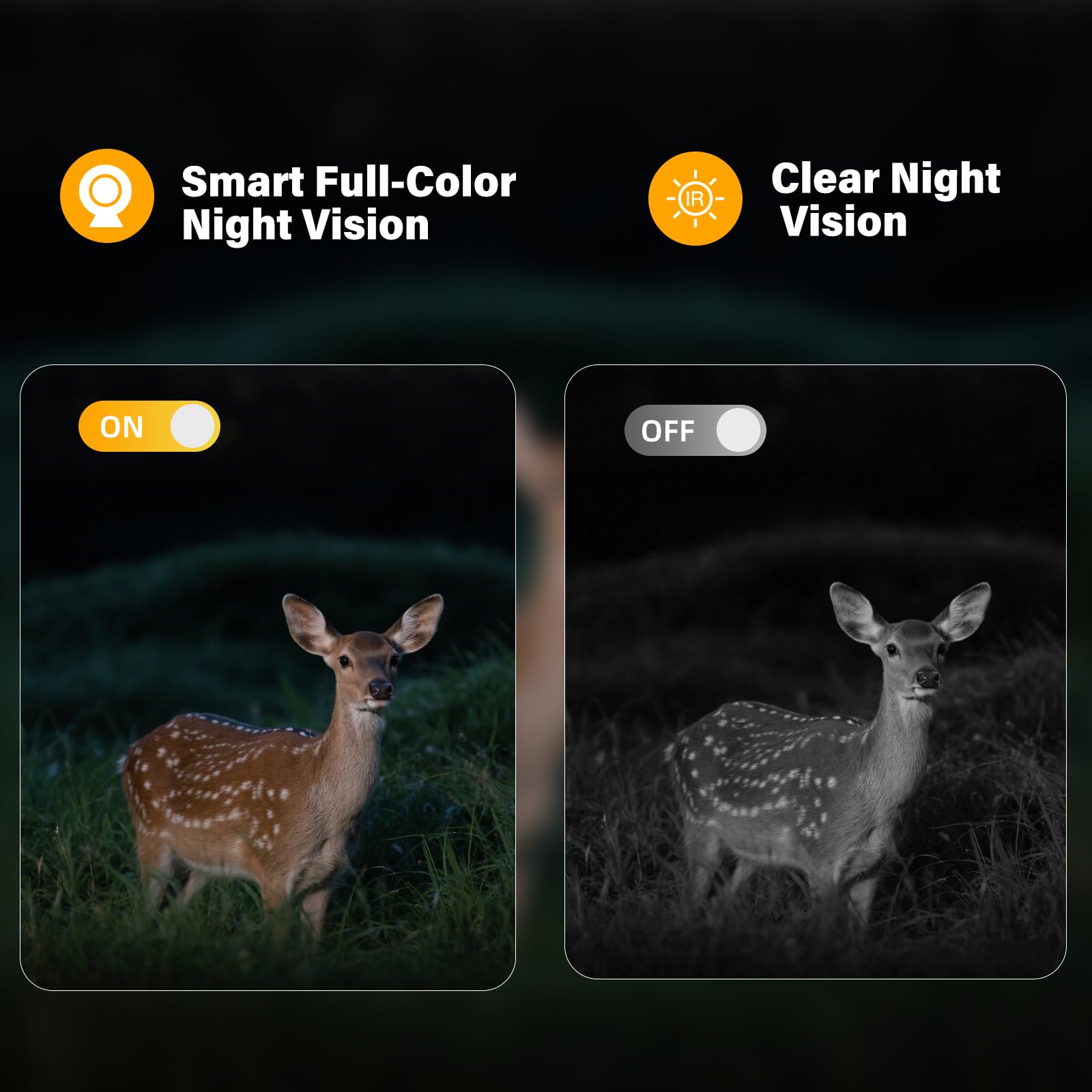 AXB motion-activated camera sends instant alerts to your phone when activity is detected.