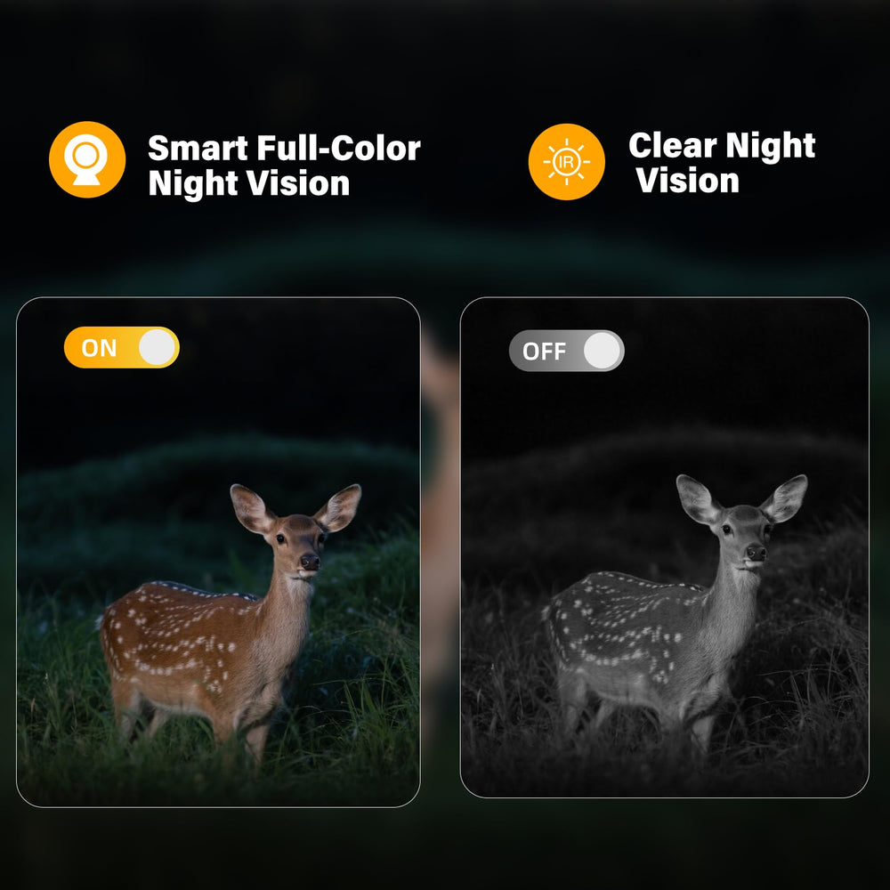 AXB motion-activated camera sends instant alerts to your phone when activity is detected.