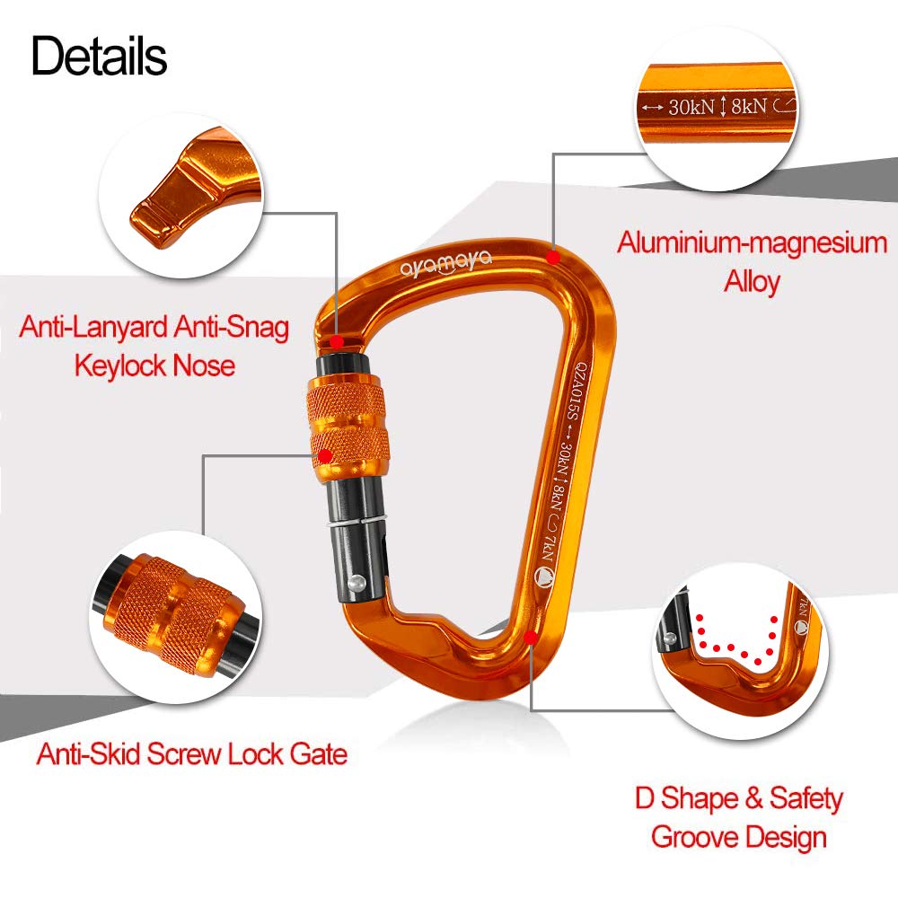 Ayamaya D-shaped carabiner on belay setup for smooth rope control.