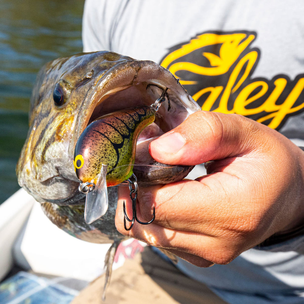 Bagley B2 squarebill side view highlighting compact shape for accurate cover fishing