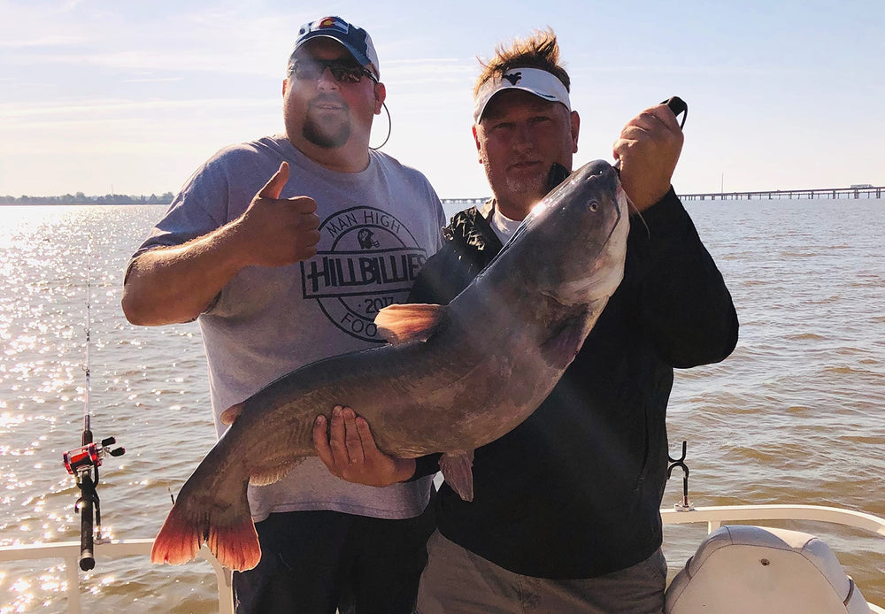 Bait Binder Catfish Cubes are lightweight and cube-packed for easy field use.