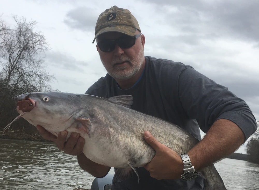 Bait Binder Catfish Cubes stays on hook during strong bites and line tension.