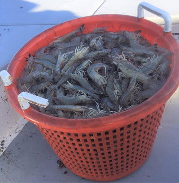 Bait Binder Fish Chum Kit Original durable bag protects contents during shipping