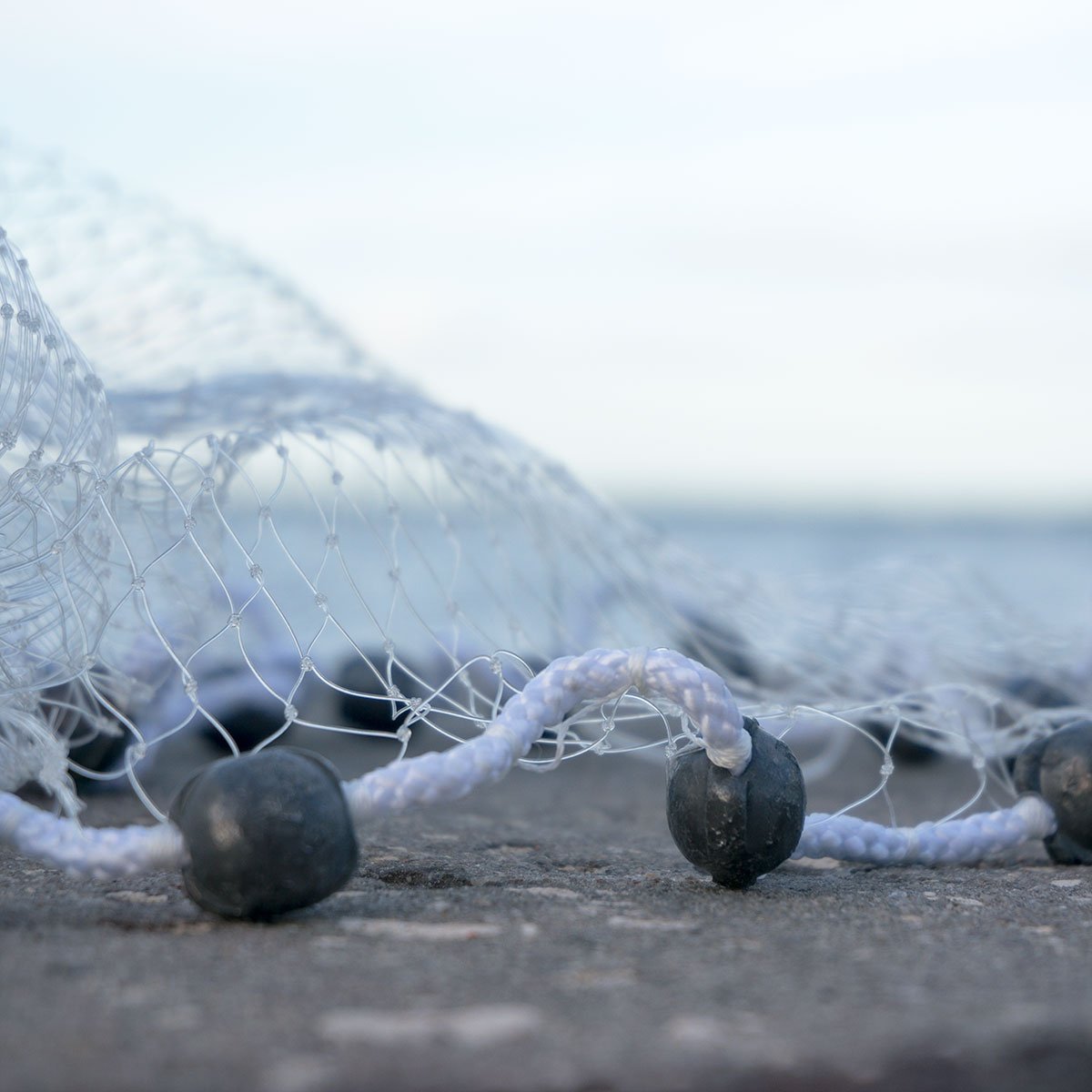 Cast net packaged in a heavy-duty 3.5 gallon bucket showing lead weights and brail lines