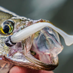 BAITFUEL NanoSwim micro paddle-tail in action delivering tight kicks for smallmouth and panfish