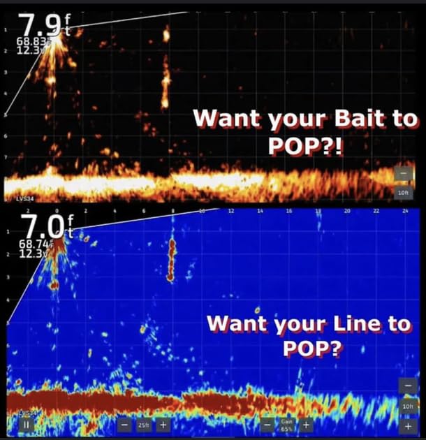 BAITPOP Elite Ghost Scent packaging and branding