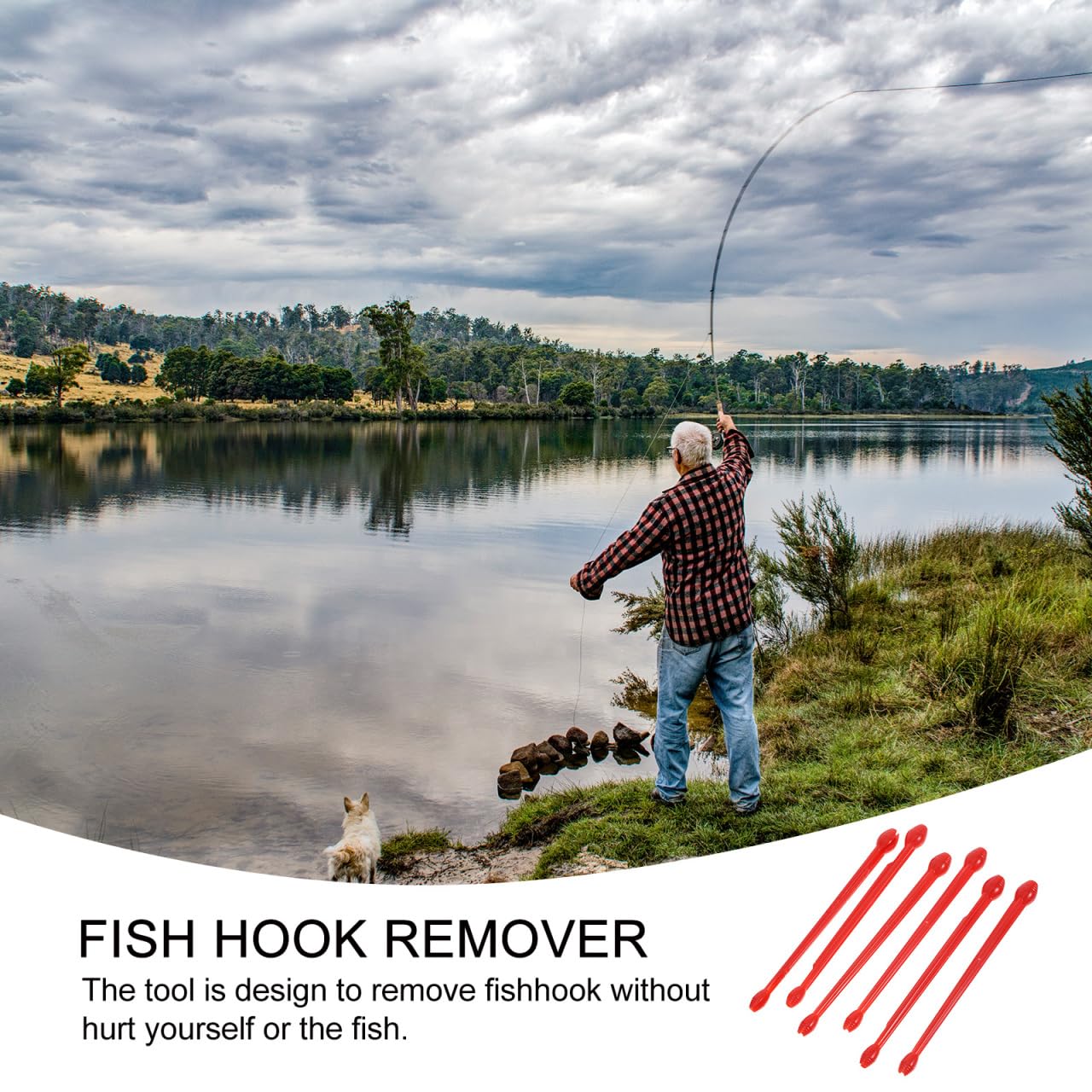 balacoo durable fishing gear accessory ready for daily angling use.