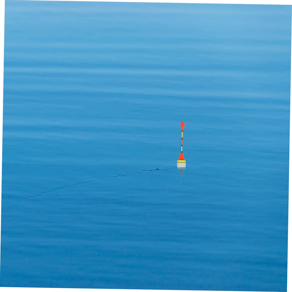 Balacoo tackle swivel ensures smooth line rotation