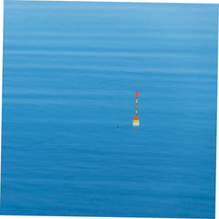 Balacoo tackle swivel ensures smooth line rotation