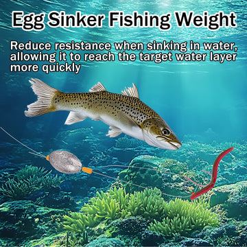 Balifly egg sinker on Texas rig setup aids stability and casting.